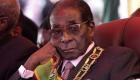 زيمبابوي تدشن وزارة للإيقاع بـ"جرذان الإنترنت"