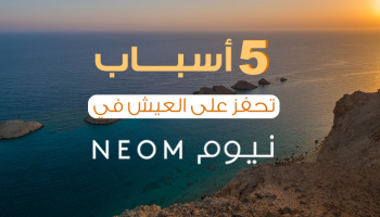 5 أسباب تحفز على العيش في نيوم