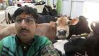 "سيلفي مع بقرة" مسابقة لحماية الأبقار في الهند