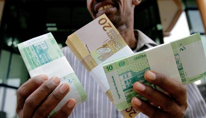الجنيه السوداني يهبط أمام الدولار