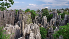 بالصور.. "غابة الأحجار" أعجوبة جيولوجية على أرض الصين