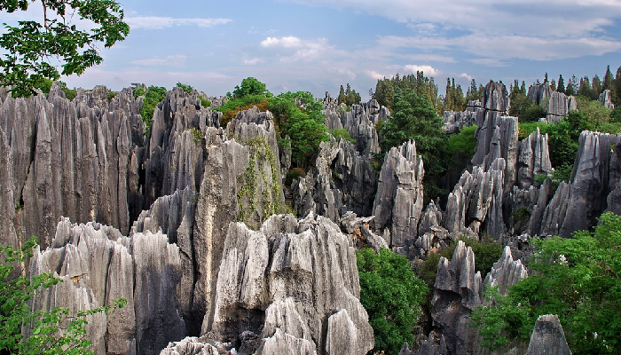 بالصور غابة الأحجار أعجوبة جيولوجية على أرض الصين