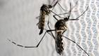 مخاوف من مقتل 290 ألفا بالملاريا بسبب قرار أمريكي