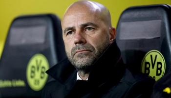 دورتموند يبحث عن بديل لبوش في شتوتجارت وهوفنهايم