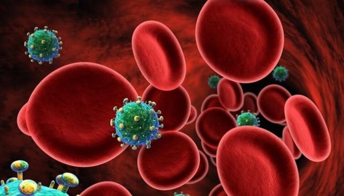 فيروس الإيدز يدمر الجهاز المناعي للجسم 