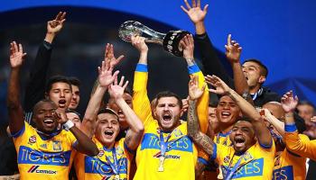 فريق تايجرز 