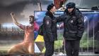 أمن روسيا يحبط عملية إرهابية في بطرسبورج 