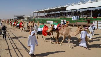 مهرجان الظفرة يعكس التراث الإماراتي
