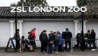 إعادة فتح حديقة حيوان لندن بعد نشوب حريق 