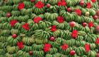 لبنان يستعد لموسم الأعياد بشجرة كريسماس من "الموز"