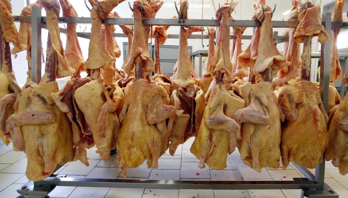 الوباء يتفشى كذلك في اليابان وكوريا الجنوبية