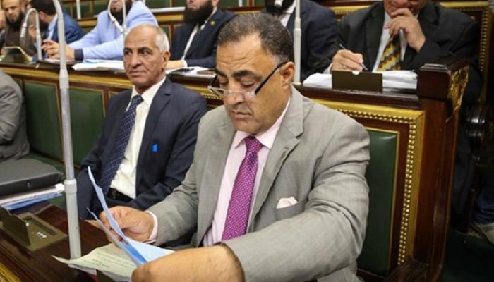 النائب إلهامي عجينة -أرشيفية