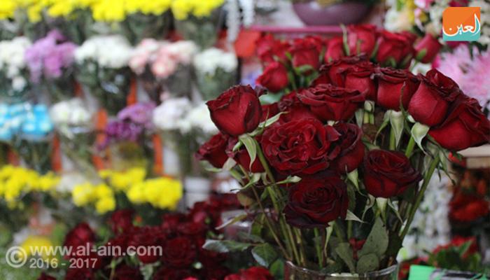 عيد الحب في شوارع القاهرة