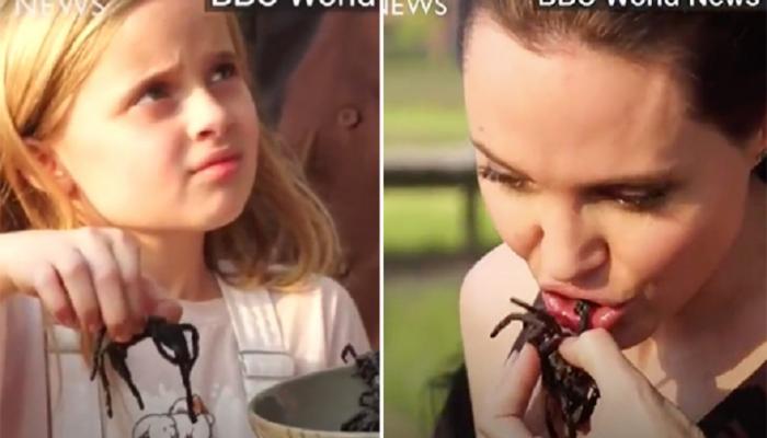 أنجلينا جولي تعلم أبنائها أكل الحشرات