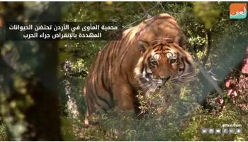 محمية المأوى في الأردن