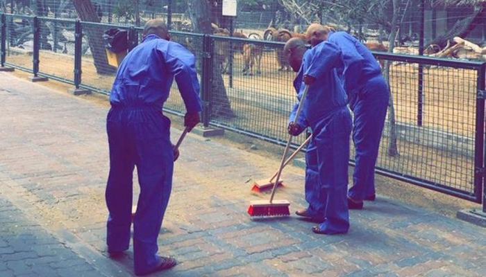 تنظيف حديقة الحيوان 3 أشهر عقوبة