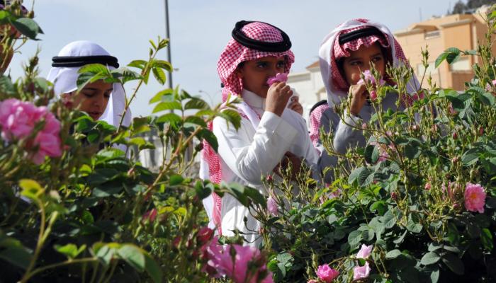 انطلاق مهرجان الورد الطائفي في السعودية الثلاثاء المقبل