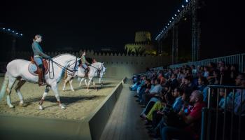 جانب من عروض مدرب الخيول الشهير بارتاباس