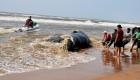 بالفيديو والصور.. حوت "نافق" على شاطئ الهند