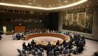 للمرة الثانية.. مجلس الأمن يفشل في تمرير قرار بشأن "كيماوي إدلب"