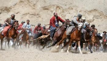  مباراة  من اللعبة الأكثر جماهيرية في أفغانستان.. بزكشي.