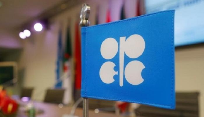علم منظمة أوبك بمقرها في فيينا