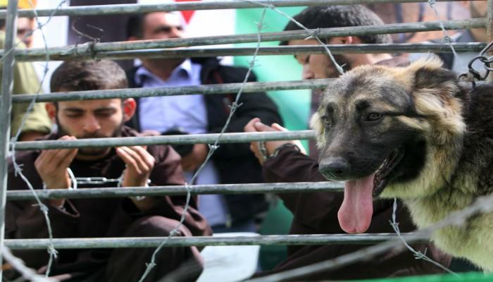 صورة أرشيفية للأسرى الفلسطينيين