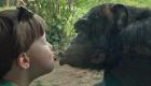 بالفيديو.. شمبانزي يحاول تقبيل طفل بحديقة حيوان بروما 