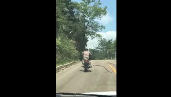 الأفعى أثناء هجومها على قائد الدراجة النارية