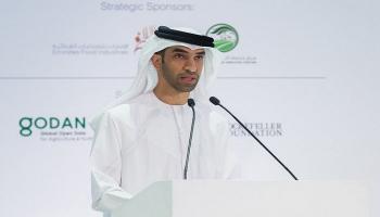 الدكتور ثاني بن أحمد الزيودي وزير التغير المناخي والبيئة