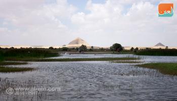 بركة دهشور الملكية