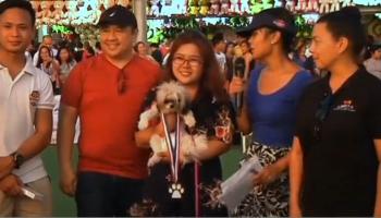 مسابقة غطس للكلاب وملاكها في الفلبين 