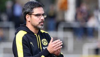 ديفيد فاجنر