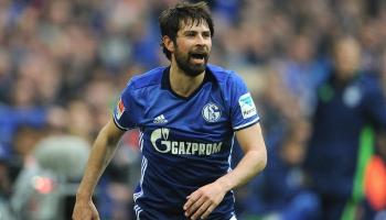 كوكي بقميص شالكه