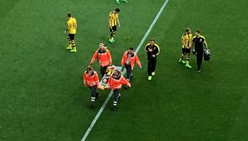 جوليان فيجل