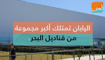 قناديل البحر في اليابان