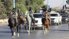 داعش ينقل خيول العراق الأصيلة إلى حدود تركيا وإيران