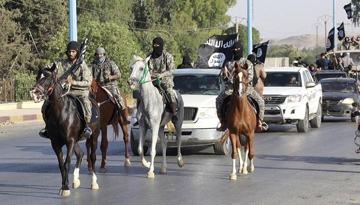 تنظيم داعش يتباهى بالخيل المسروقة