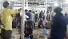 750 حالة تسمم بأغذية قطرية في مخيم للنازحين بنينوى العراقية