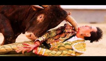 ثور يقتل مصارع ثيران داخل الحلبة