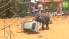 بالفيديو.. فيل غاضب يدمر مهرجانا بالهند