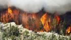 أمريكا.. حريق غابات يجلي سكان جنوب كاليفورنيا