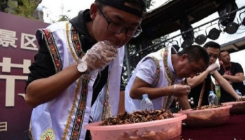 أكل الحشرات  في الصين