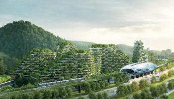 النباتات ستمتص 10 آلاف طن من ثاني أكسيد الكربون سنويا