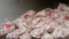 مسؤول إيراني يعترف: نصدّر الدجاج الملوث للعراق