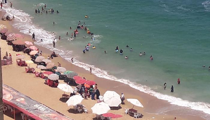 قناديل البحر انتشرت بالشواطئ المصرية