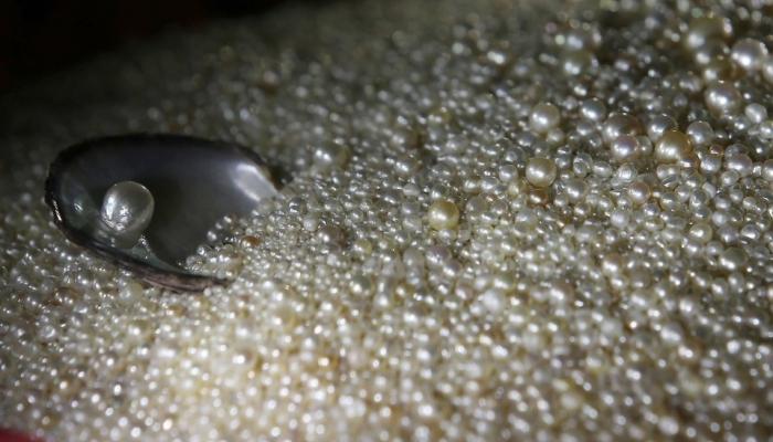 صورة أرشيفية لـ اللؤلؤ