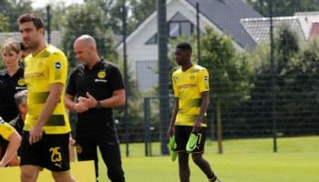 بوش وديمبلي