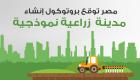إنفوجراف.. مصر توقع بروتوكول إنشاء مدينة زراعية نموذجية