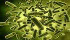 دراسة: بكتيريا المعدة تسبب القلق